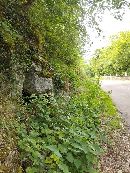 Antheuil - grotte de la route - photo entrée cavité 1, Aurélien Bloch.jpg
Fichier manquant